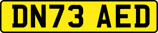 DN73AED