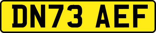 DN73AEF