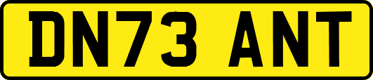DN73ANT