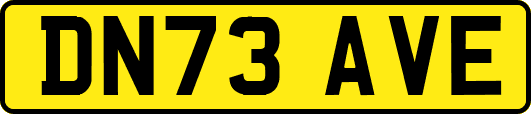 DN73AVE