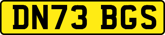 DN73BGS