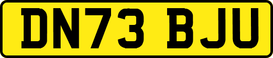 DN73BJU
