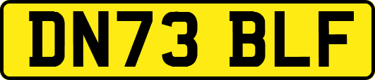 DN73BLF