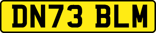 DN73BLM