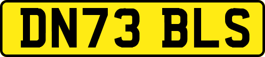 DN73BLS