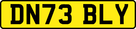 DN73BLY
