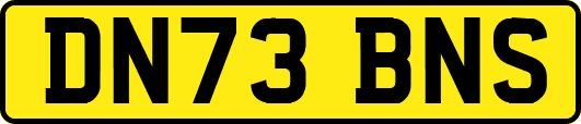 DN73BNS