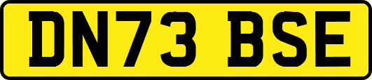 DN73BSE