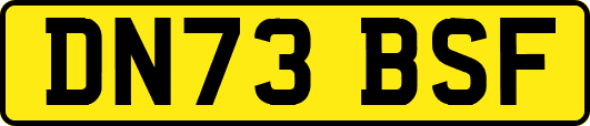 DN73BSF