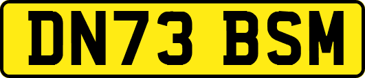 DN73BSM