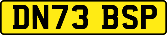 DN73BSP