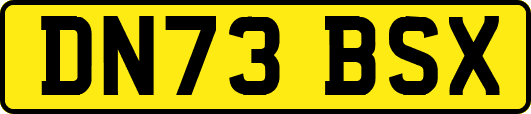 DN73BSX
