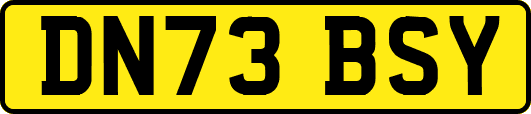 DN73BSY