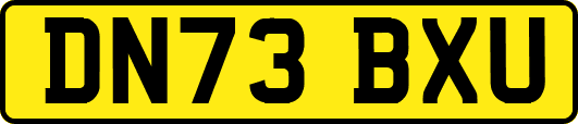 DN73BXU