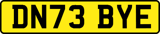 DN73BYE