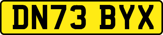 DN73BYX