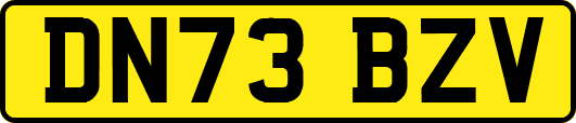 DN73BZV