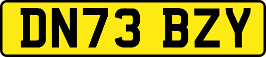 DN73BZY
