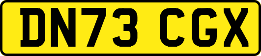 DN73CGX