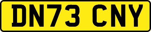 DN73CNY