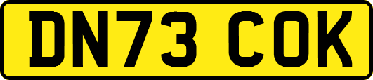 DN73COK