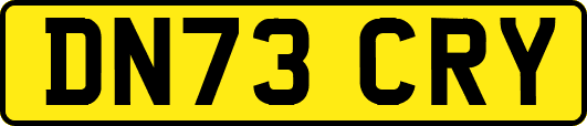 DN73CRY