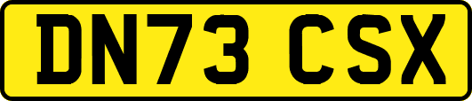 DN73CSX