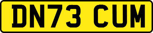 DN73CUM