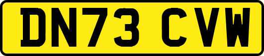 DN73CVW