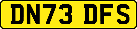 DN73DFS