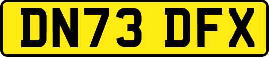 DN73DFX