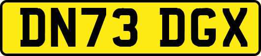DN73DGX