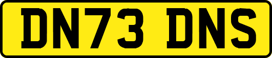 DN73DNS