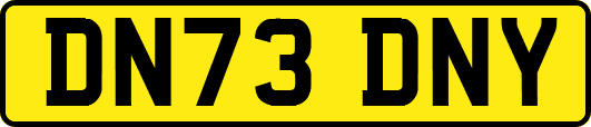 DN73DNY