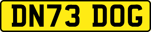 DN73DOG