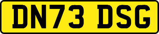 DN73DSG