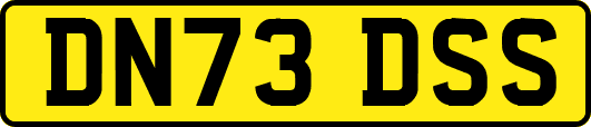 DN73DSS