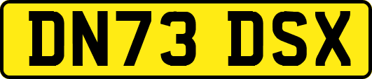 DN73DSX