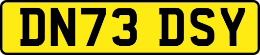 DN73DSY