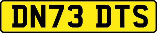 DN73DTS