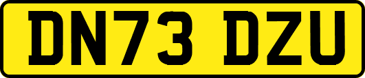 DN73DZU