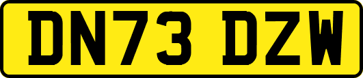DN73DZW