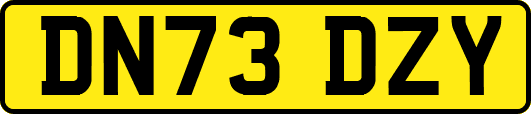 DN73DZY