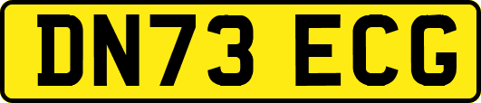 DN73ECG
