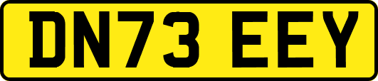 DN73EEY