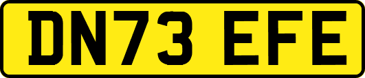 DN73EFE