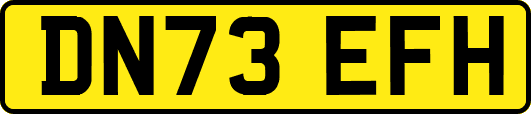 DN73EFH