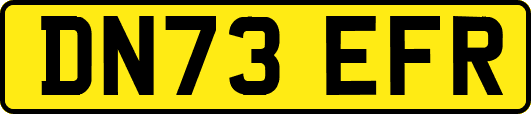 DN73EFR