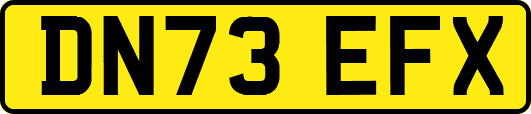 DN73EFX