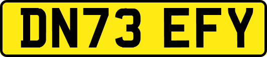 DN73EFY